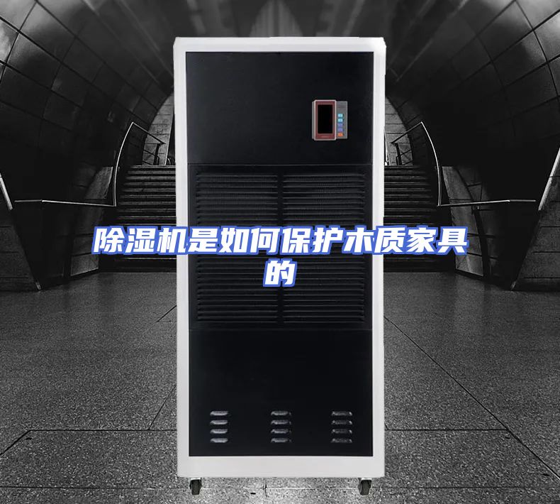 除湿机是如何保护木质家具的