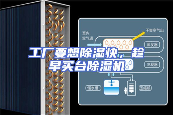 工厂要想除湿快，趁早买台除湿机