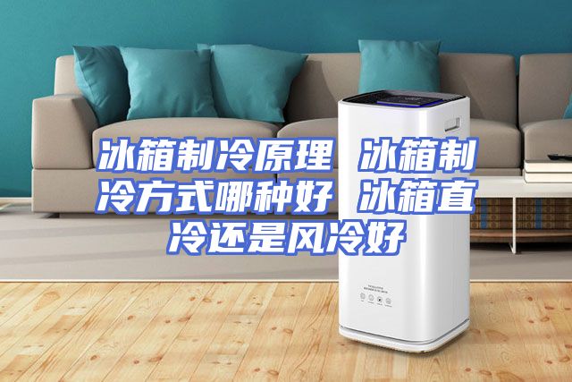 冰箱制冷原理 冰箱制冷方式哪种好 冰箱直冷还是风冷好