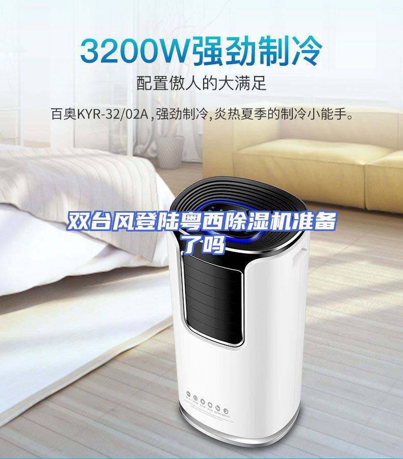 双台风登陆粤西除湿机准备了吗