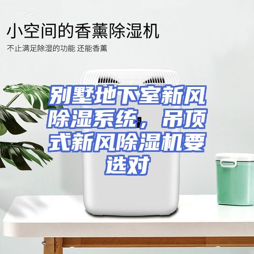 别墅地下室新风除湿系统，吊顶式新风除湿机要选对