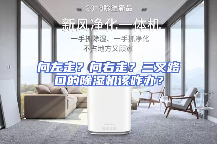 向左走？向右走？三叉路口的除湿机该咋办？