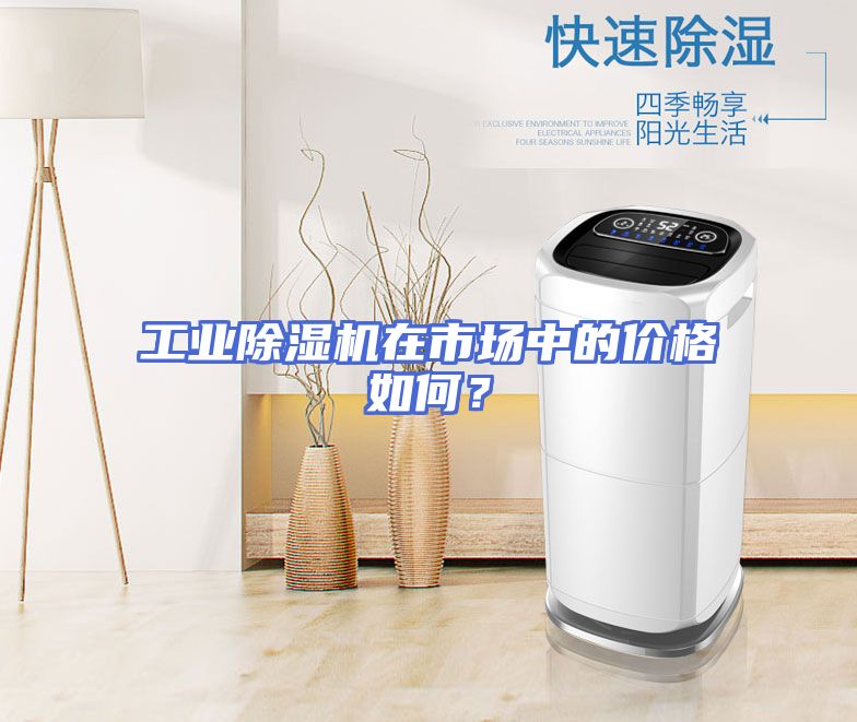 工业除湿机在市场中的价格如何？