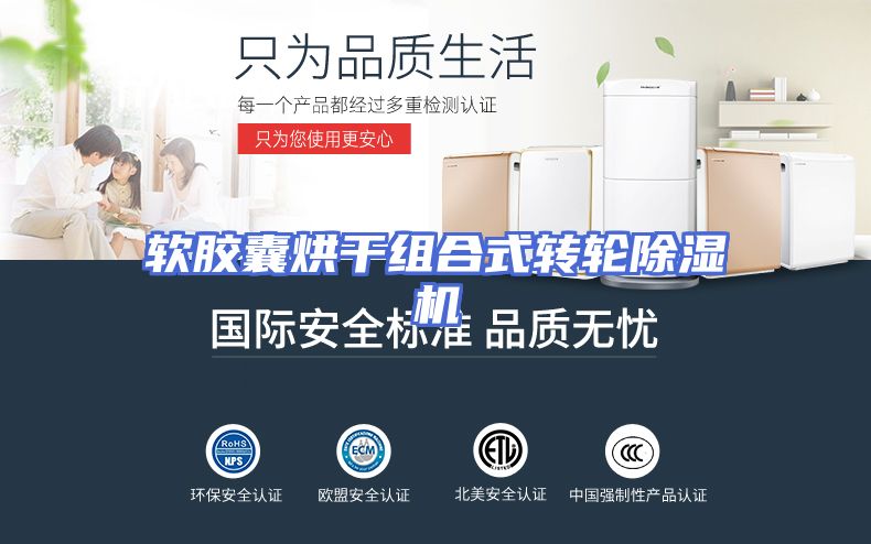 软胶囊烘干组合式转轮除湿机