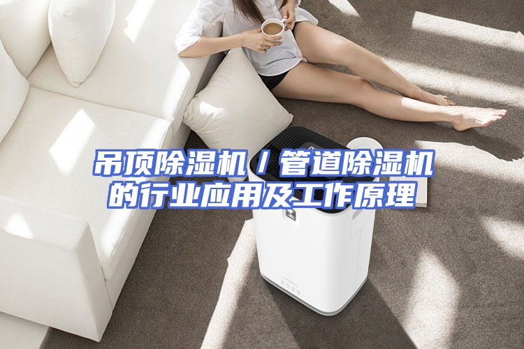 吊顶除湿机／管道除湿机的行业应用及工作原理