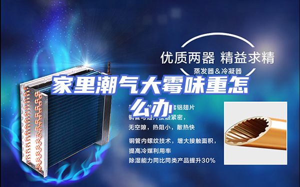 家里潮气大霉味重怎么办