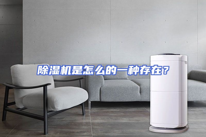 除湿机是怎么的一种存在？