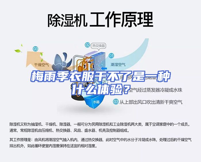 梅雨季衣服干不了是一种什么体验？