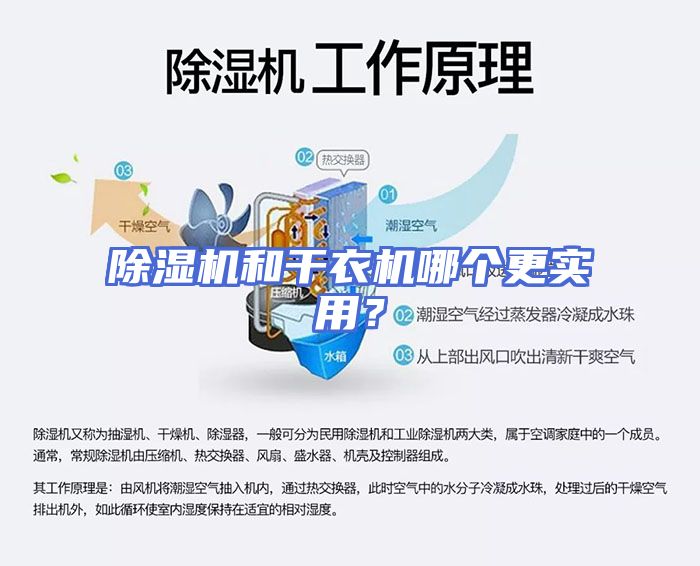 除湿机和干衣机哪个更实用？