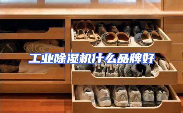 工业除湿机什么品牌好