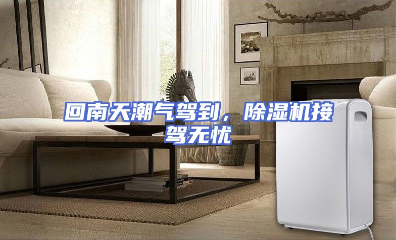 回南天潮气驾到，除湿机接驾无忧