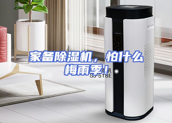 家备除湿机，怕什么梅雨季！