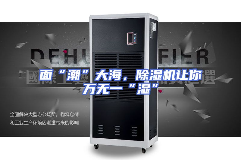 面“潮”大海，除湿机让你万无一“湿”