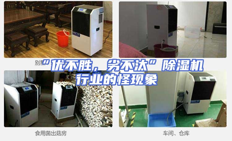 “优不胜，劣不汰”除湿机行业的怪现象