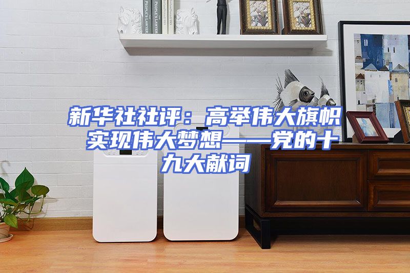 新华社社评：高举伟大旗帜 实现伟大梦想——党的十九大献词