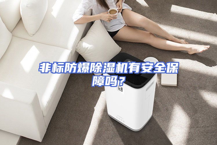 非标防爆除湿机有安全保障吗？