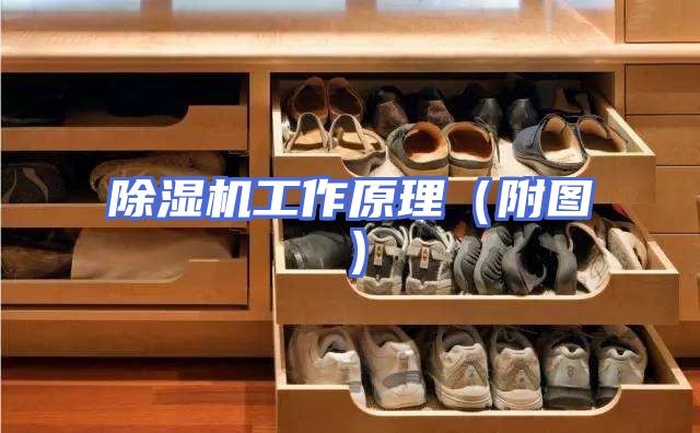 除湿机工作原理（附图）