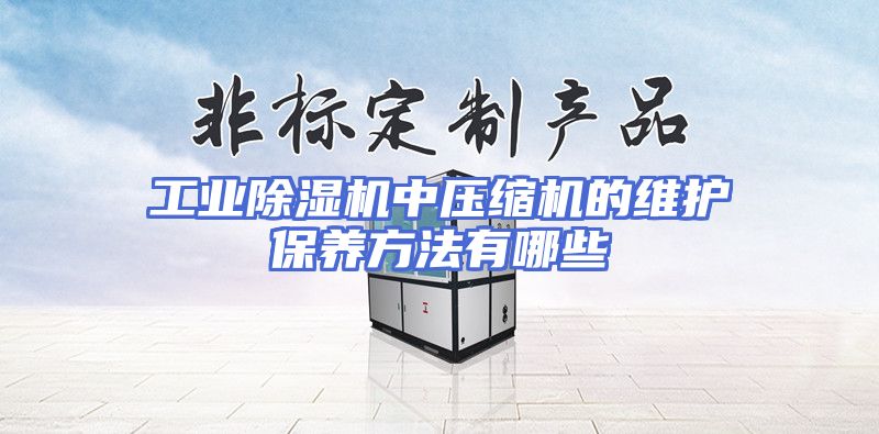 工业除湿机中压缩机的维护保养方法有哪些