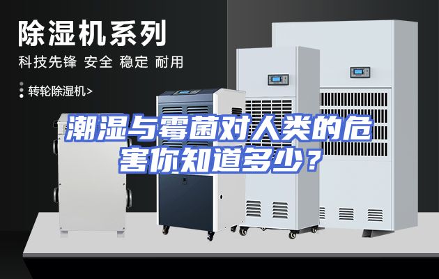潮湿与霉菌对人类的危害你知道多少？