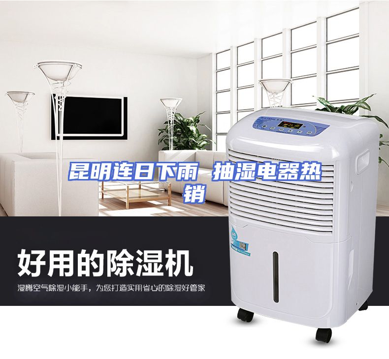 昆明连日下雨 抽湿电器热销