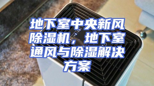 地下室中央新风除湿机，地下室通风与除湿解决方案