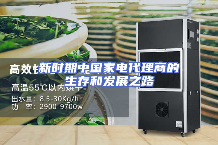 新时期中国家电代理商的生存和发展之路