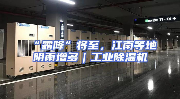“霜降”将至，江南等地阴雨增多｜工业除湿机