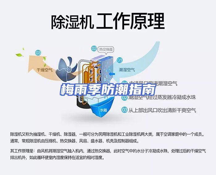 梅雨季防潮指南