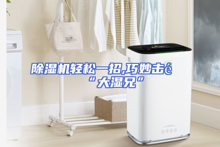 除湿机轻松一招,巧妙击退“大湿兄”