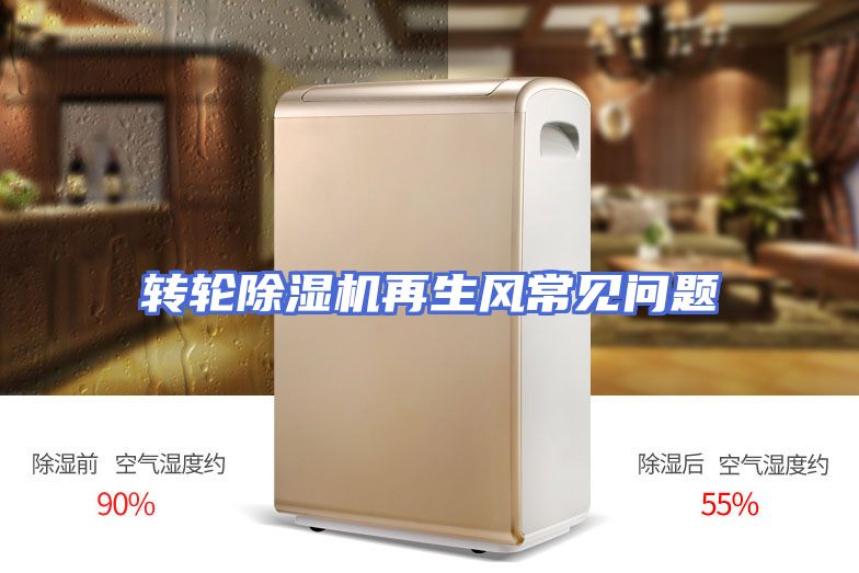 转轮除湿机再生风常见问题