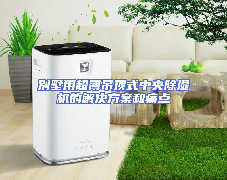 别墅用超薄吊顶式中央除湿机的解决方案和痛点