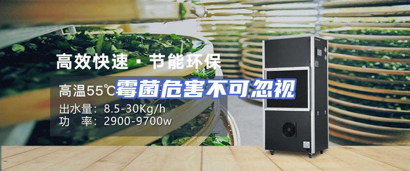 霉菌危害不可忽视