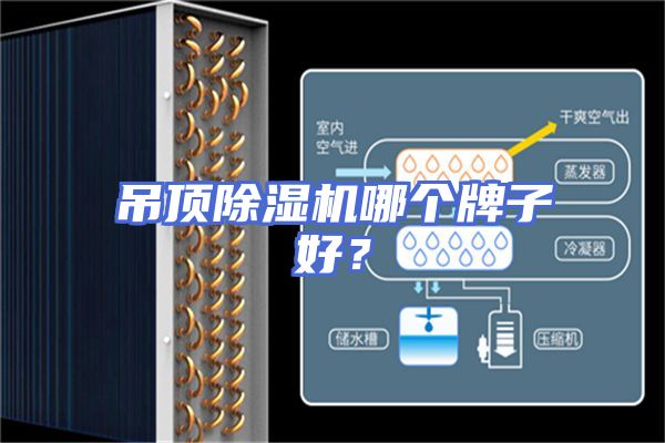 吊顶除湿机哪个牌子好？