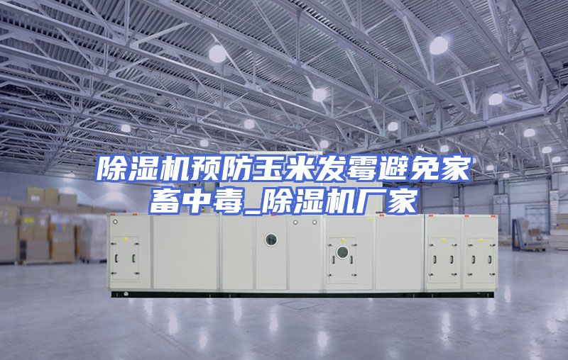 除湿机预防玉米发霉避免家畜中毒_除湿机厂家