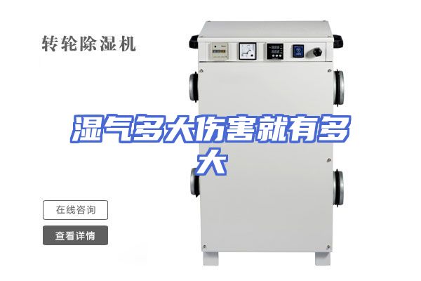 湿气多大伤害就有多大