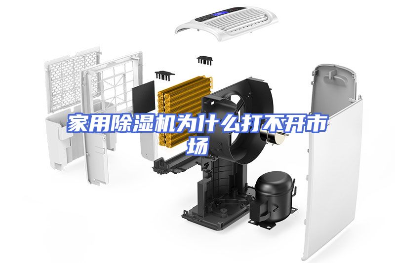 家用除湿机为什么打不开市场