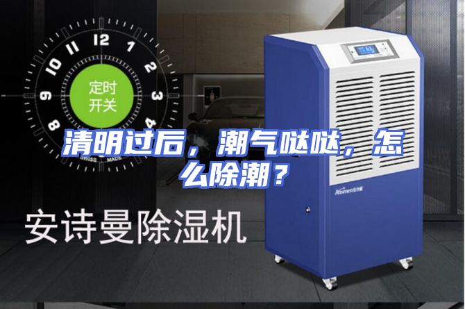 清明过后，潮气哒哒，怎么除潮？