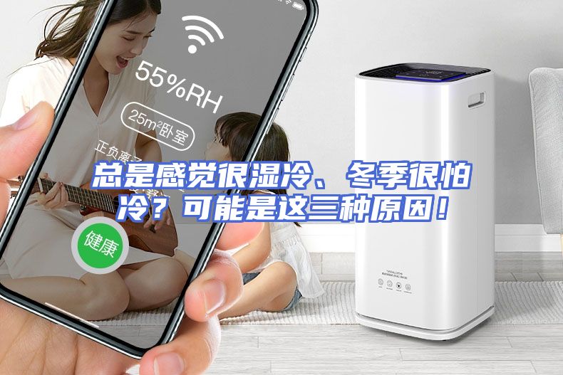总是感觉很湿冷、冬季很怕冷？可能是这三种原因！