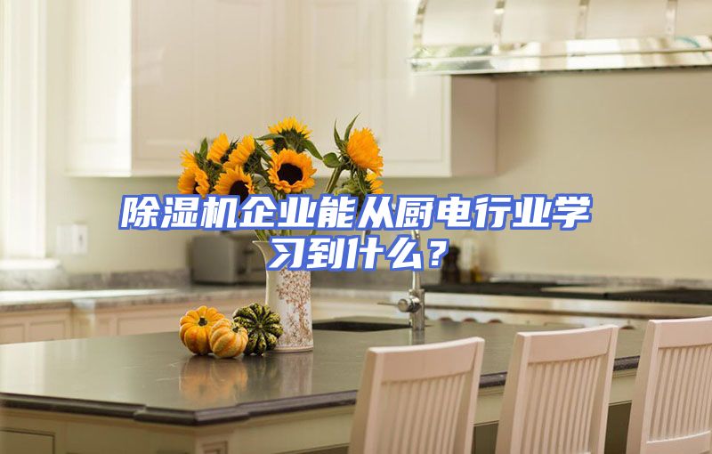 除湿机企业能从厨电行业学习到什么？