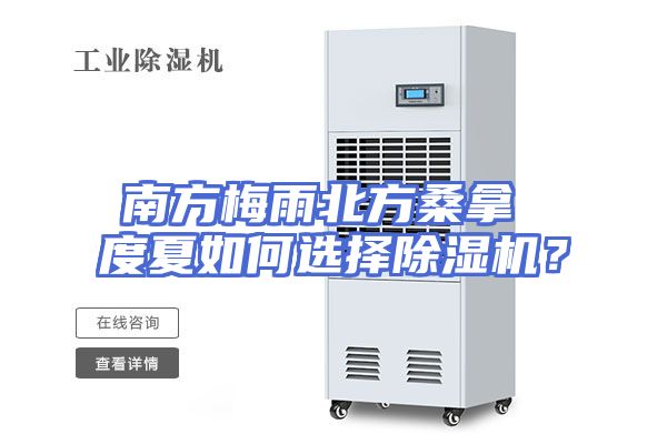 南方梅雨北方桑拿 度夏如何选择除湿机？
