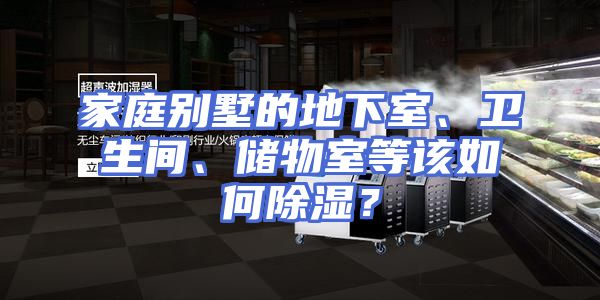 家庭别墅的地下室、卫生间、储物室等该如何除湿？