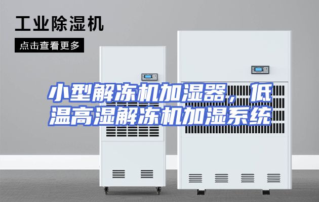 小型解冻机加湿器，低温高湿解冻机加湿系统