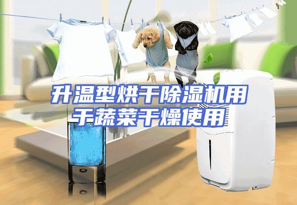 升温型烘干除湿机用于蔬菜干燥使用