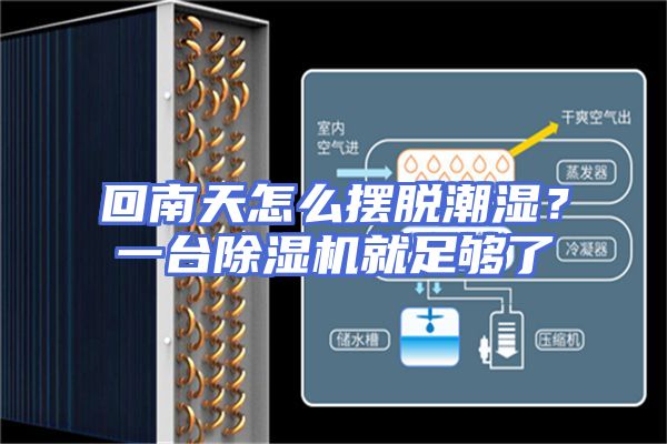 回南天怎么摆脱潮湿？一台除湿机就足够了