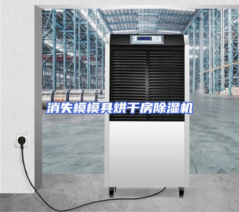 消失模模具烘干房除湿机