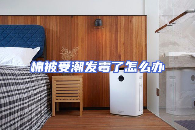 棉被受潮发霉了怎么办