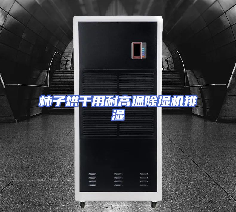 柿子烘干用耐高温除湿机排湿