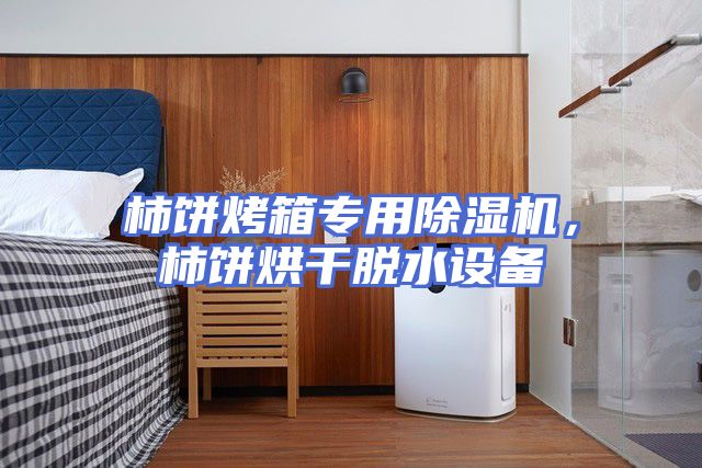 柿饼烤箱专用除湿机，柿饼烘干脱水设备