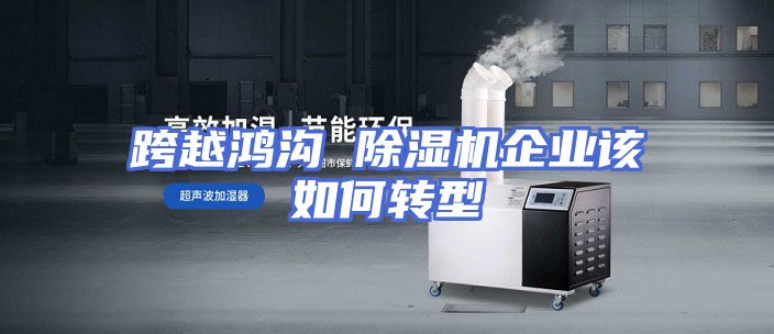 跨越鸿沟 除湿机企业该如何转型