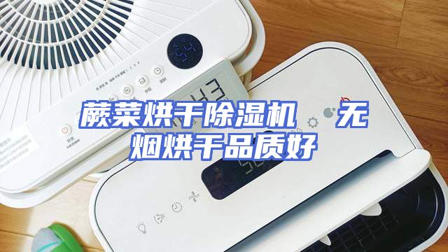 蕨菜烘干除湿机  无烟烘干品质好